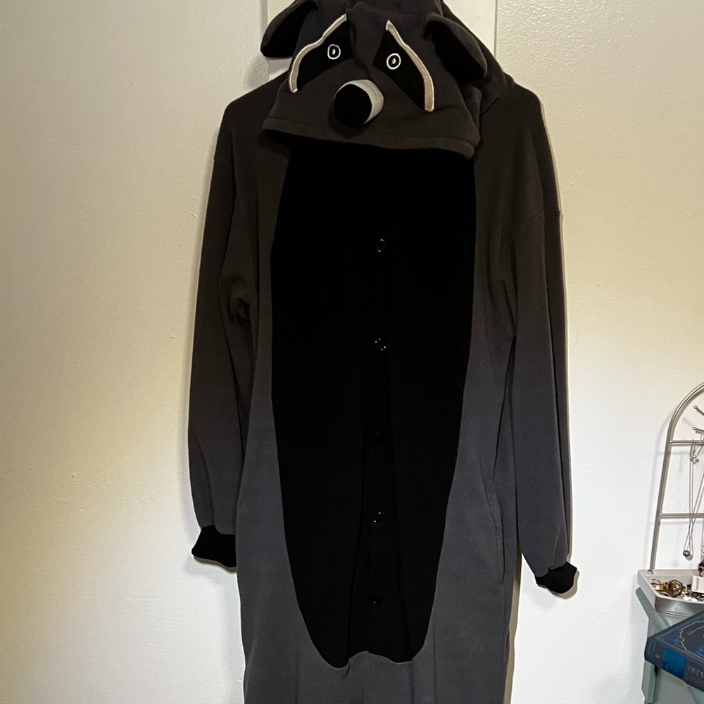 Raccoon onesie with pockets.